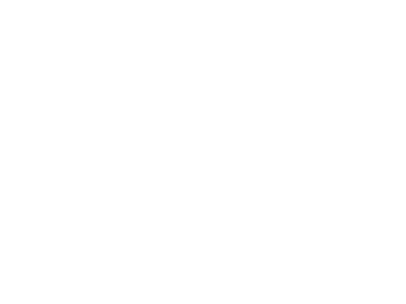 G4S logo